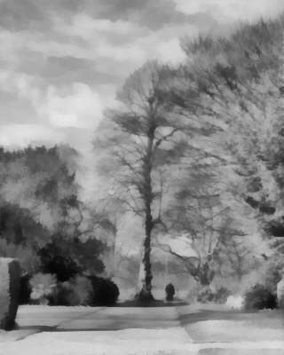 Lotherton grey Trees