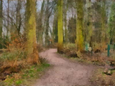 Lotherton woods in winter