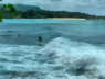 Surfin Hawaii
