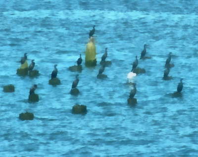 what you all lookin at