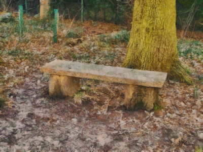 wooden seat